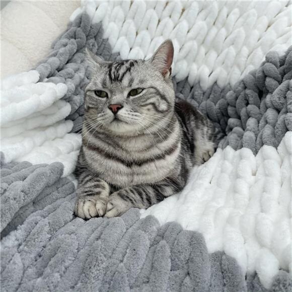 Chenille Chunky Knit Blanket Throw （40×50 Inch）, Handmade Warm & Cozy Blanket - Picture 5 of 7